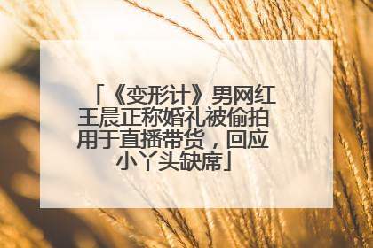 《变形计》男网红王晨正称婚礼被偷拍用于直播带货，回应小丫头缺席