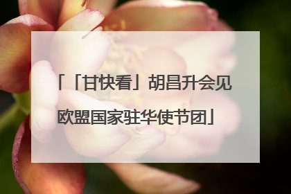 「甘快看」胡昌升会见欧盟国家驻华使节团