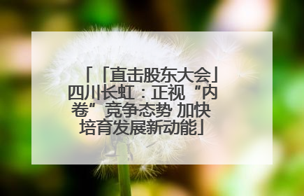 「直击股东大会」四川长虹：正视“内卷”竞争态势 加快培育发展新动能