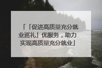 「促进高质量充分就业巡礼」优服务，助力实现高质量充分就业