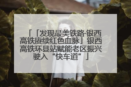 「发现最美铁路·银西高铁赓续红色血脉」银西高铁环县站赋能老区振兴驶入“快车道”