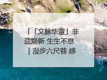 「文脉华章」非遗焕新 生生不息｜漫步六尺巷 感受礼让文化浸润的“巷”往生活