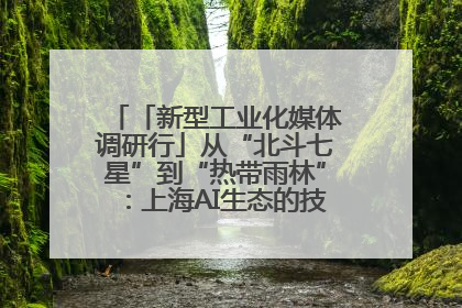 「新型工业化媒体调研行」从“北斗七星”到“热带雨林”：上海AI生态的技术商业共生密码