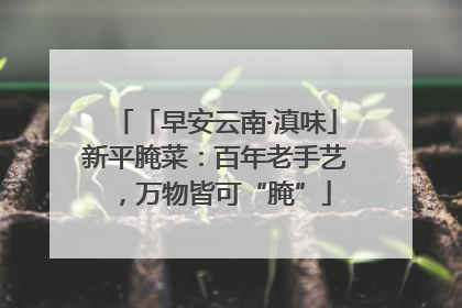 「早安云南·滇味」新平腌菜：百年老手艺，万物皆可“腌”