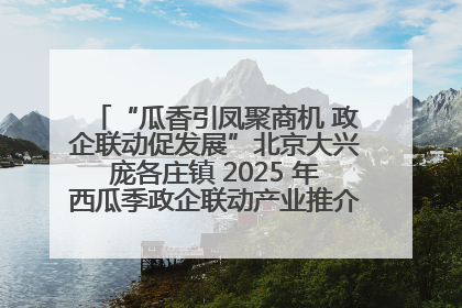 “瓜香引凤聚商机 政企联动促发展”北京大兴庞各庄镇 2025 年西瓜季政企联动产业推介活动圆满举行