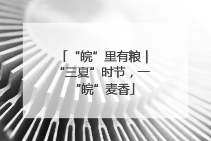 “皖”里有粮｜“三夏”时节，一“皖”麦香