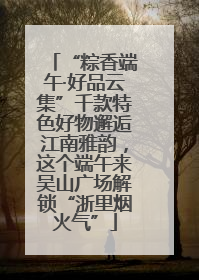 “粽香端午·好品云集”千款特色好物邂逅江南雅韵，这个端午来吴山广场解锁“浙里烟火气”