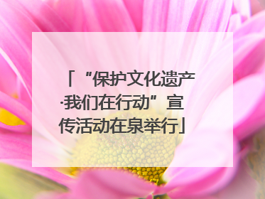 “保护文化遗产·我们在行动”宣传活动在泉举行