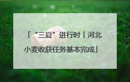 “三夏”进行时丨河北小麦收获任务基本完成