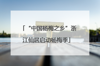 “中国杨梅之乡”浙江仙居启动杨梅季