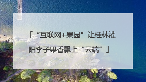 “互联网+果园”让桂林灌阳李子果香飘上“云端”