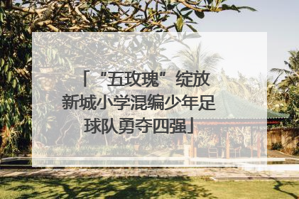 “五玫瑰”绽放 新城小学混编少年足球队勇夺四强