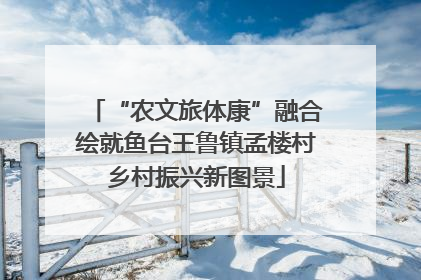 “农文旅体康”融合绘就鱼台王鲁镇孟楼村乡村振兴新图景