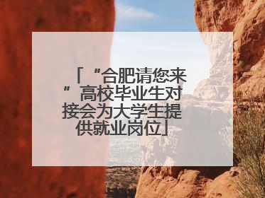 “合肥请您来”高校毕业生对接会为大学生提供就业岗位