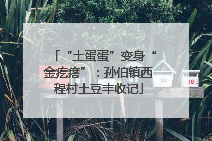 “土蛋蛋”变身“金疙瘩”：孙伯镇西程村土豆丰收记