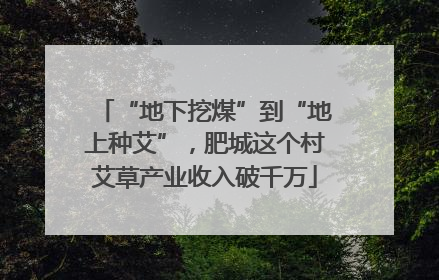 “地下挖煤”到“地上种艾”，肥城这个村艾草产业收入破千万