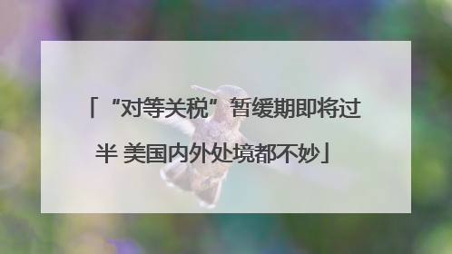 “对等关税”暂缓期即将过半 美国内外处境都不妙