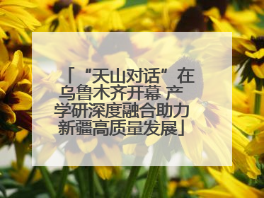 “天山对话”在乌鲁木齐开幕 产学研深度融合助力新疆高质量发展