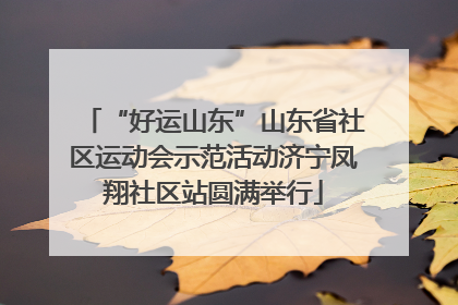 “好运山东”山东省社区运动会示范活动济宁凤翔社区站圆满举行