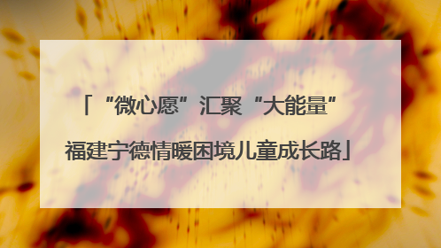“微心愿”汇聚“大能量” 福建宁德情暖困境儿童成长路