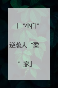 “小白”逆袭大“盈”家