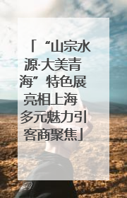 “山宗水源·大美青海”特色展亮相上海 多元魅力引客商聚焦