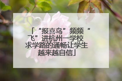 “报喜鸟”频频“飞”进杭州一学校 求学路的通畅让学生越来越自信