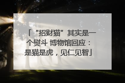 “招财猫”其实是一个熨斗 博物馆回应：是猫是虎，见仁见智