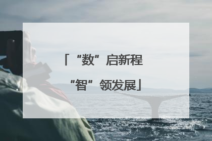 “数”启新程 “智”领发展