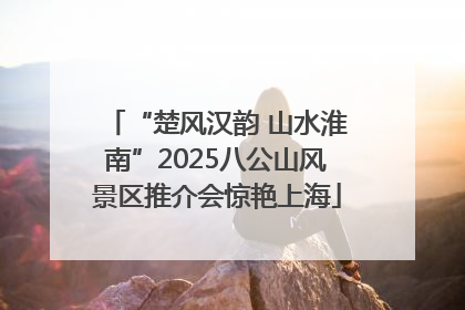 “楚风汉韵 山水淮南”2025八公山风景区推介会惊艳上海