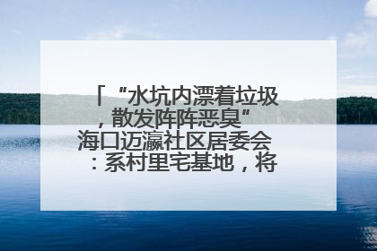 “水坑内漂着垃圾，散发阵阵恶臭” 海口迈瀛社区居委会：系村里宅基地，将派人打捞垃圾