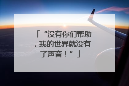 “没有你们帮助，我的世界就没有了声音！”