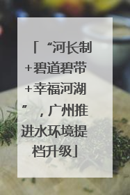 “河长制+碧道碧带+幸福河湖”，广州推进水环境提档升级