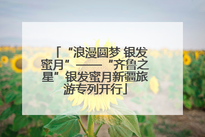 “浪漫圆梦 银发蜜月”——“齐鲁之星”银发蜜月新疆旅游专列开行