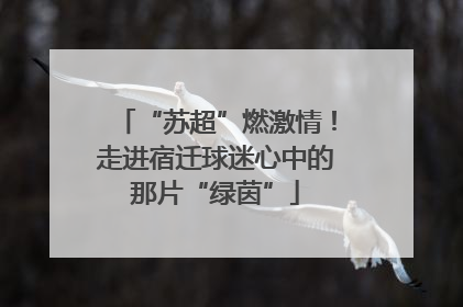 “苏超”燃激情！走进宿迁球迷心中的那片“绿茵”