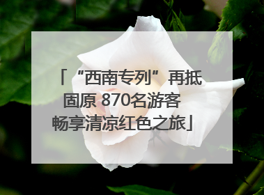 “西南专列”再抵固原 870名游客畅享清凉红色之旅