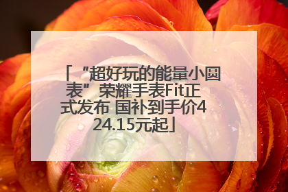 “超好玩的能量小圆表”荣耀手表Fit正式发布 国补到手价424.15元起