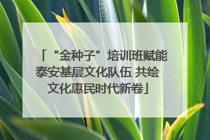 “金种子”培训班赋能泰安基层文化队伍 共绘文化惠民时代新卷