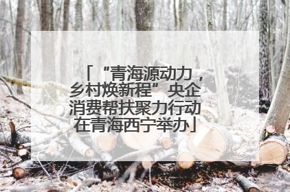 “青海源动力，乡村焕新程”央企消费帮扶聚力行动在青海西宁举办