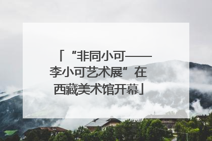 “非同小可——李小可艺术展”在西藏美术馆开幕