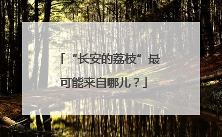 “长安的荔枝”最可能来自哪儿？