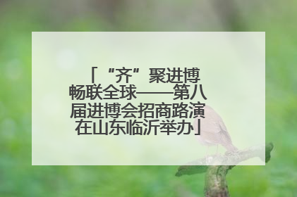 “齐”聚进博 畅联全球——第八届进博会招商路演在山东临沂举办