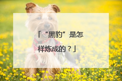 “黑豹”是怎样炼成的？