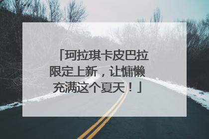 珂拉琪卡皮巴拉限定上新，让慵懒充满这个夏天！