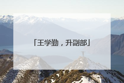 王学勤，升副部