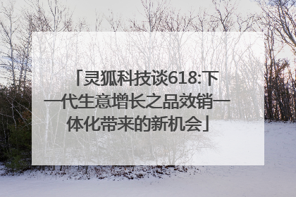灵狐科技谈618:下一代生意增长之品效销一体化带来的新机会