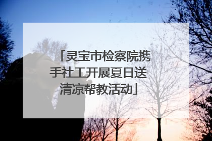灵宝市检察院携手社工开展夏日送清凉帮教活动