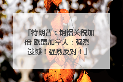 特朗普：钢铝关税加倍 欧盟加拿大：强烈遗憾！强烈反对！