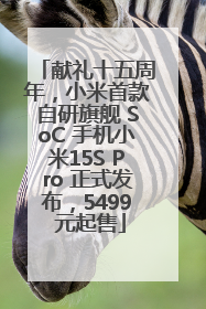 献礼十五周年，小米首款自研旗舰 SoC 手机小米15S Pro 正式发布，5499 元起售