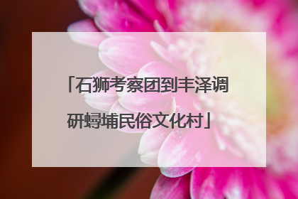 石狮考察团到丰泽调研蟳埔民俗文化村